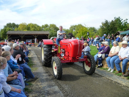 Largest tractor Porsche ever made, it is called a Master. This tractor was found half buried in mud in a lake, in western Washington. Beautiful Restoration.